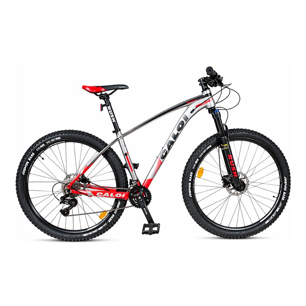 BIC.CAL.GTX.29M