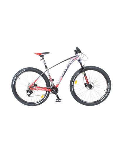 BIC.CAL.GTX.29M