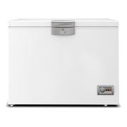 CONGELADOR BEKO HSMM30091 300 LTS - Inverfin
