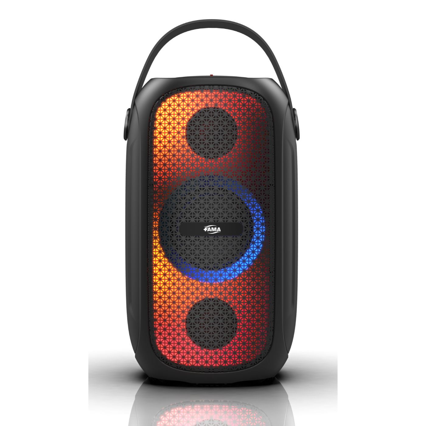 PAR.PAR.BOX.FAM.PB55